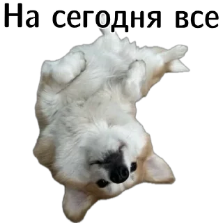 😮‍💨