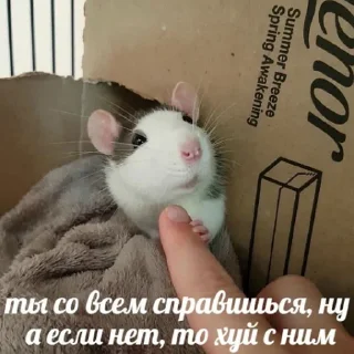 🫂