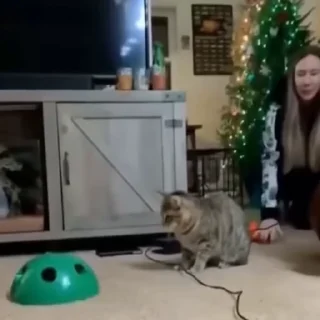 😱