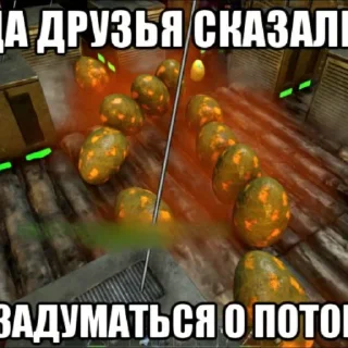🐣