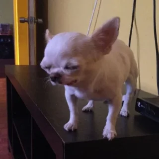 😴