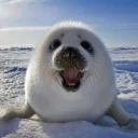 😄