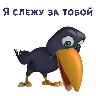 👀