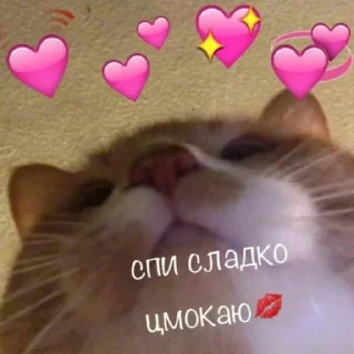 💜