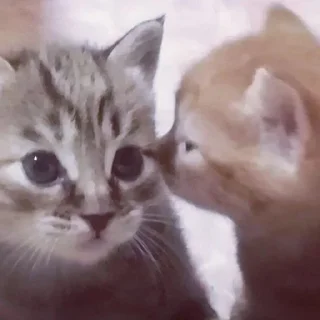 😘