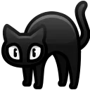 🐈‍⬛