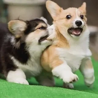 😁