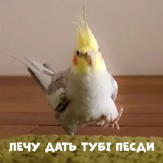 😡