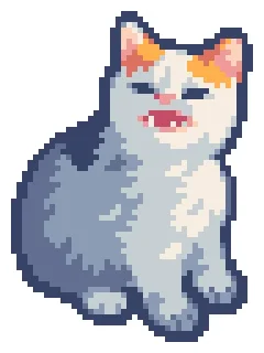 😾