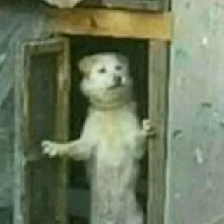 😐