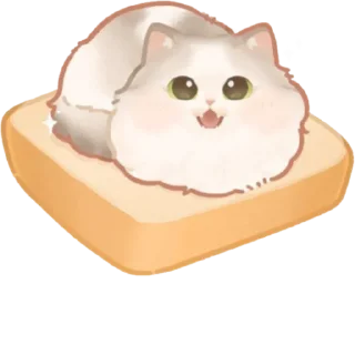 Милые котики 🐱