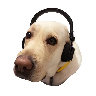 🎧