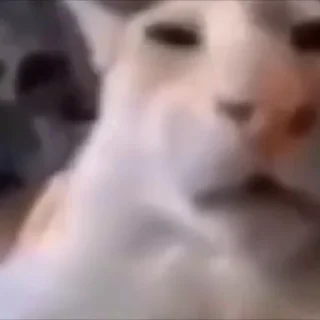 🤔