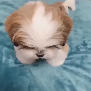 🥹