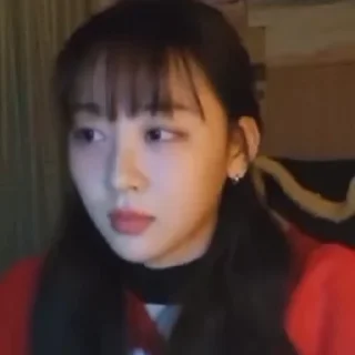 🦢