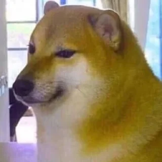 🖼