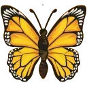 🦋