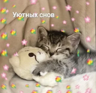 😴