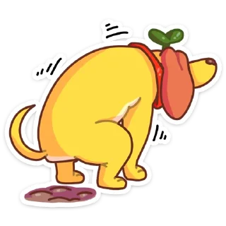 💩