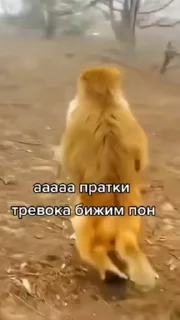 🚨