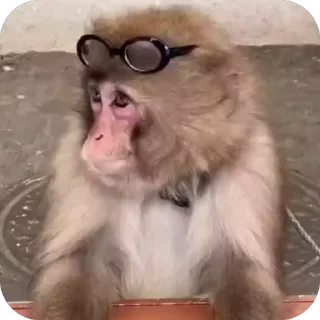 😎