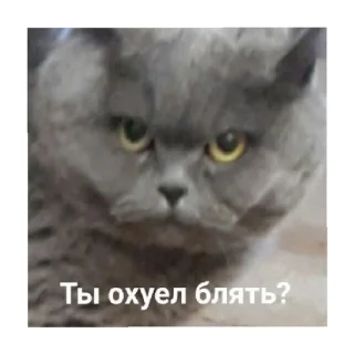 😡