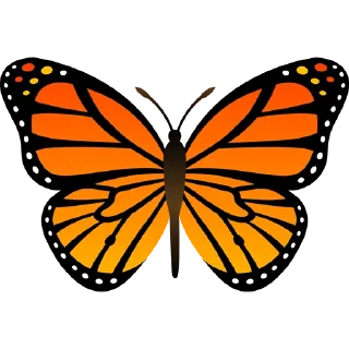 🦋