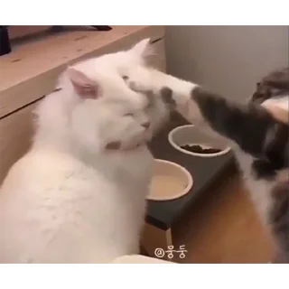 👊