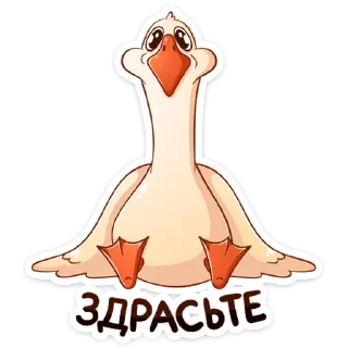 👋