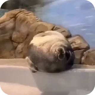 😦