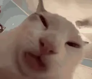😜