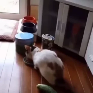 😰