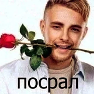 🌹