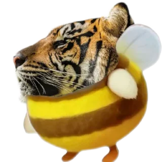 🐅