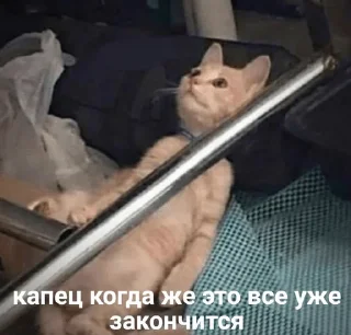 😣