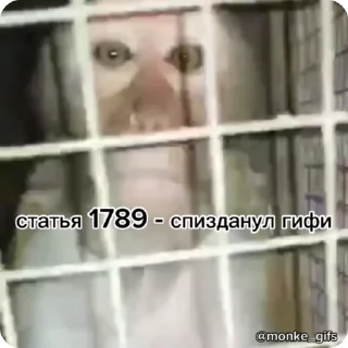 📄