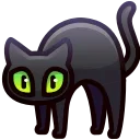 🐈‍⬛