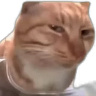 😑