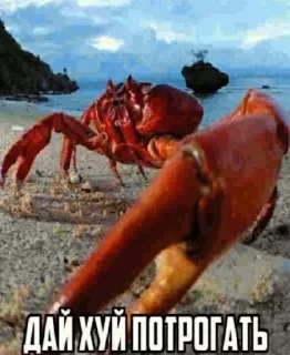 👏