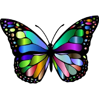 🦋