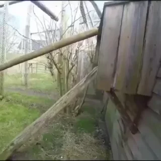 😜