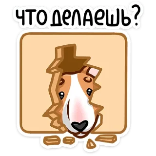 ❓