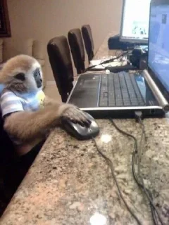 🐒
