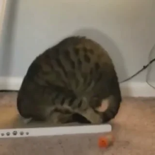 😳