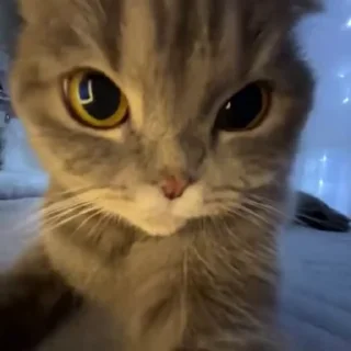 🧐