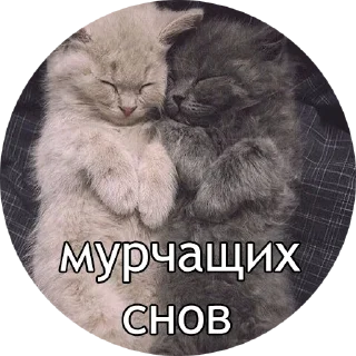😴