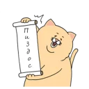Sad Fat Cat