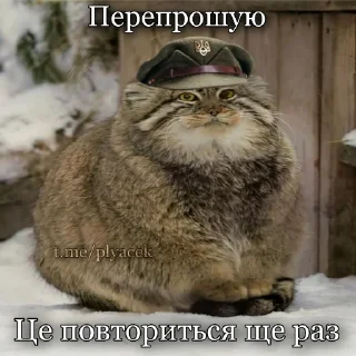 🥺