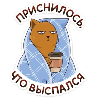 😴