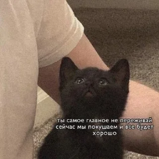 🫂